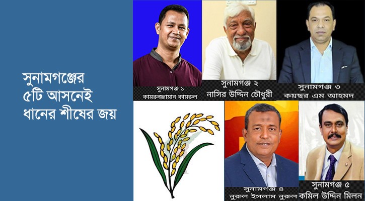 সুনামগঞ্জের পাঁচটি আসনেই ধানের শীষের জয়