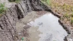 হাতিয়া