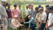 এমএম কলেজে ‘ওয়ান স্টুডেন্ট, ওয়ান ট্রি’ কর্মসূচি অনুষ্ঠিত