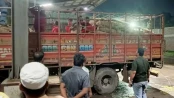 অপরাধ ও বিচার