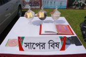 অপরাধ ও বিচার